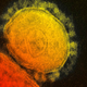 Illustration for article titled MERS America